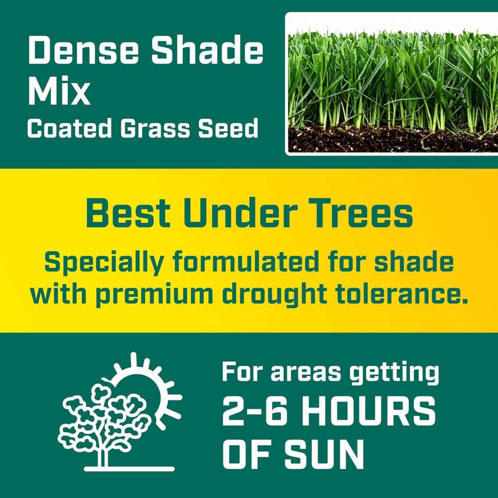 3 lbs. Shady Lawn Grass Seed Mix - Hercitys