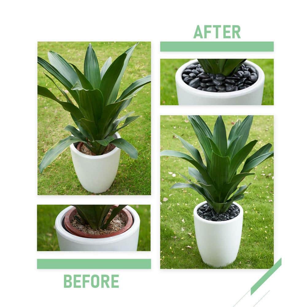 0.12 cu. ft. Black Medium Polished Pebbles 8 lbs. 1-2 in. Landscape Rocks - Hercitys