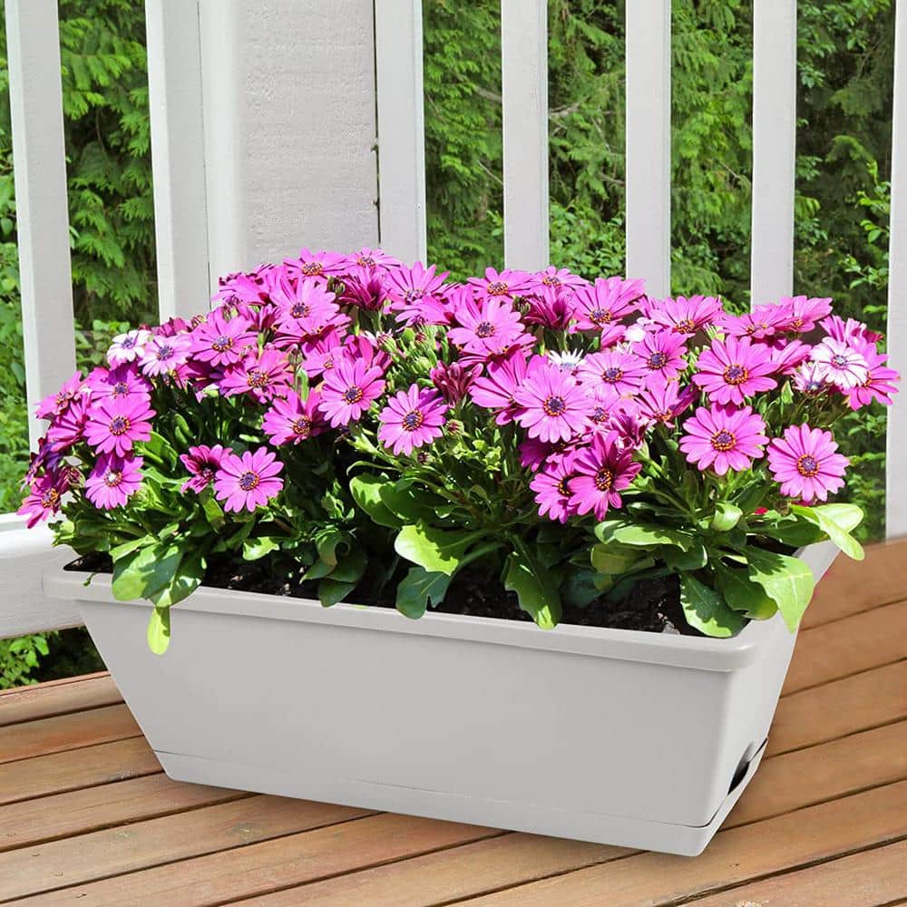 17 in. Plastic Window Box Planter Flower Window Boxes, Rectangle Planters Box with Drainage Holes and Trays (8-Pieces) - Hercitys