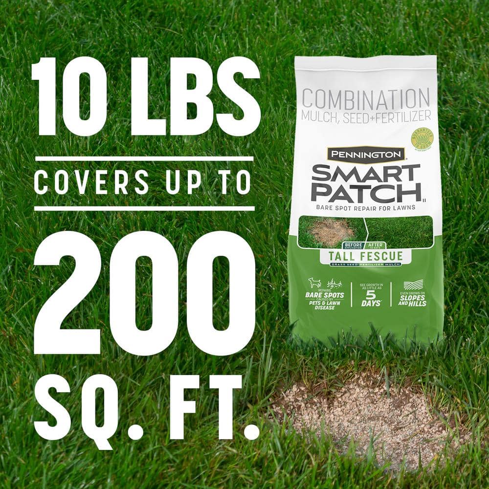 10 lbs. Smart Patch Tall Fescue West Grass Seed with Mulch, Fertilizer - Hercitys