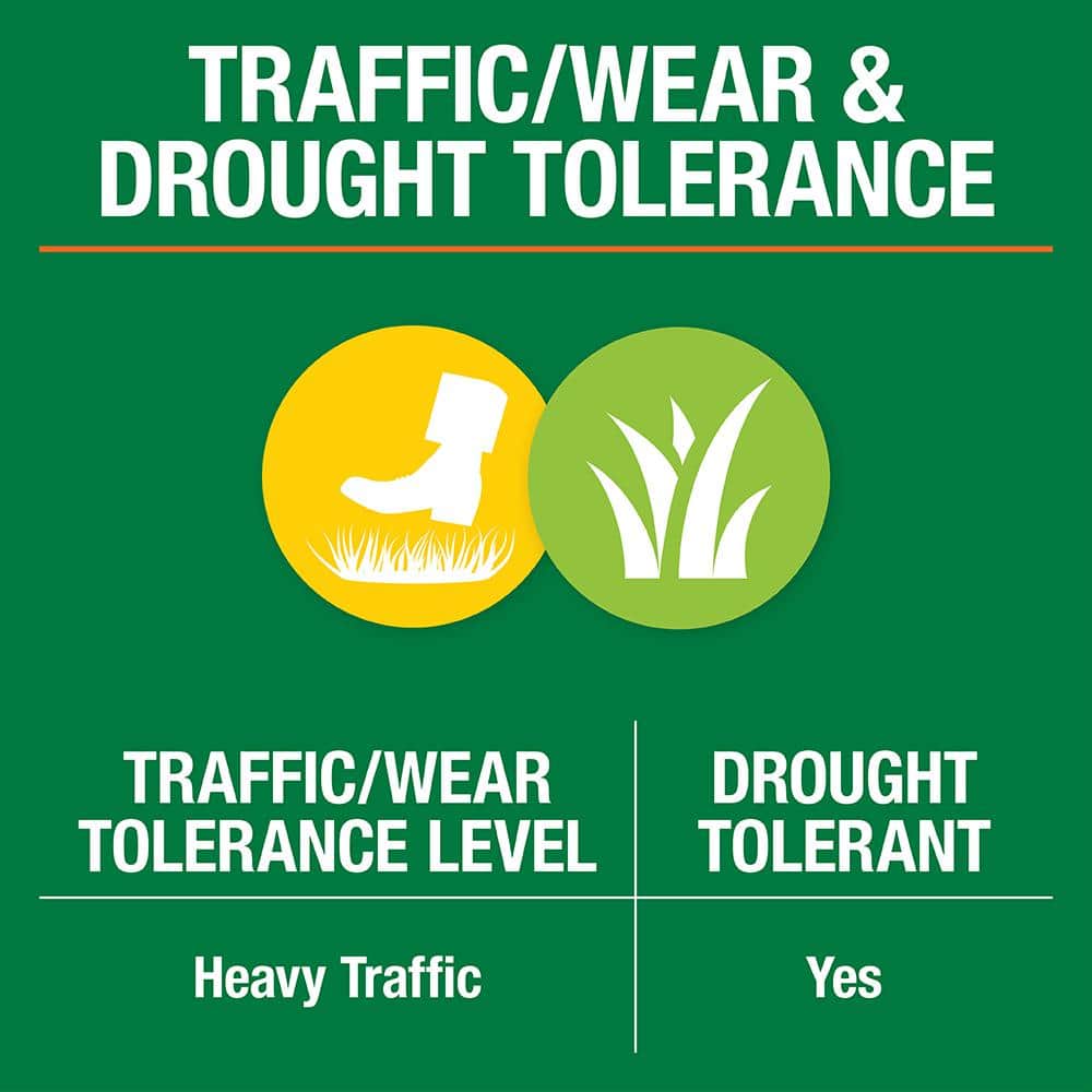 10 lbs. Bermuda Grass Seed Blend with Water Saver Seed Coating - Hercitys