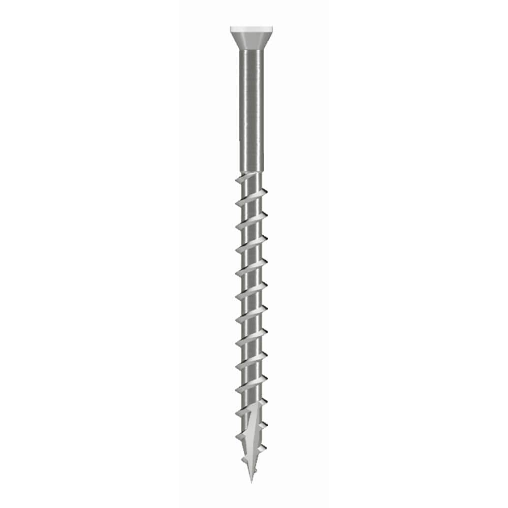 #8 x 2-1/2 in. T-15 6-Lobe, Trim Head, Type 316 Stainless Steel Wood Screw, White (200-Pack) - Hercitys
