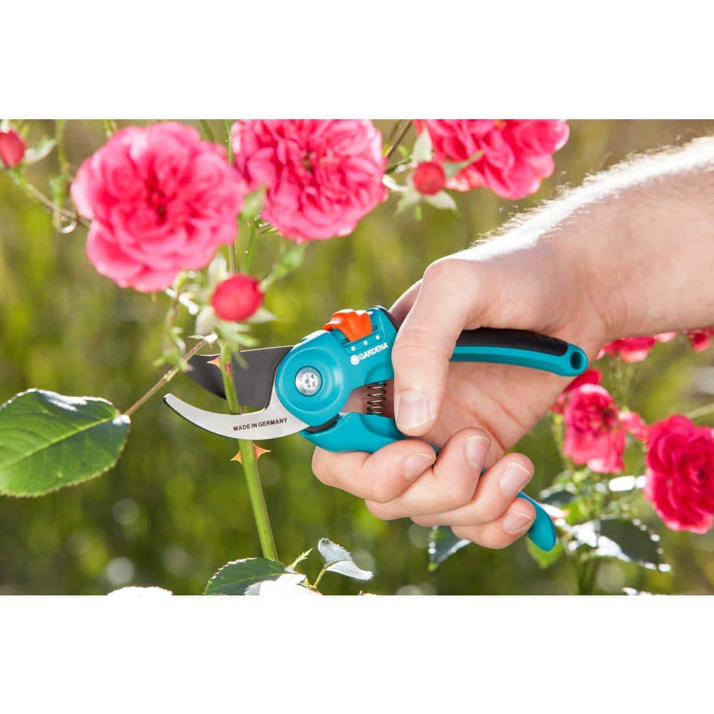 1 in. Garden Pruning Shear B/S-M - Hercitys
