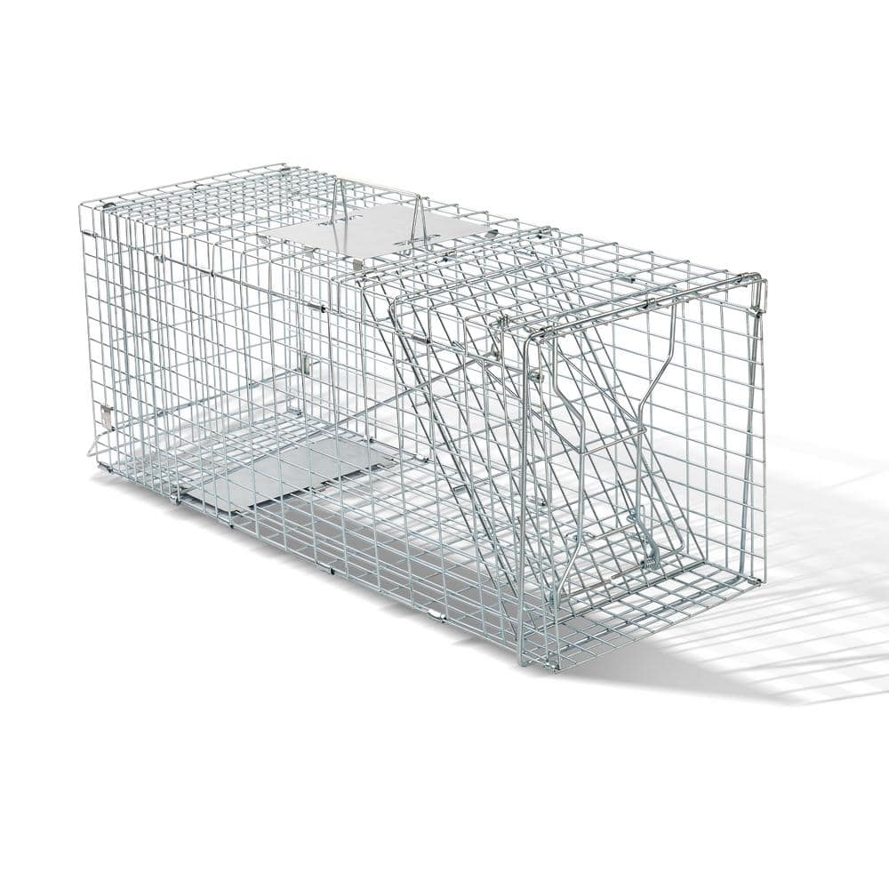 31 in. Easy-Set Outdoor Iron Small Animal Folding Cage Trap - Hercitys