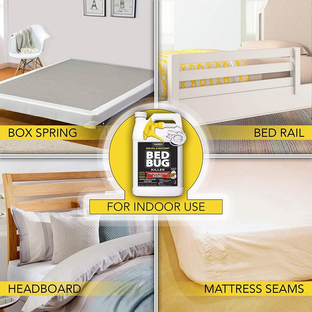 1 Gal. Ready-to-Use Egg Kill and Resistant Bed Bug Killer - Hercitys