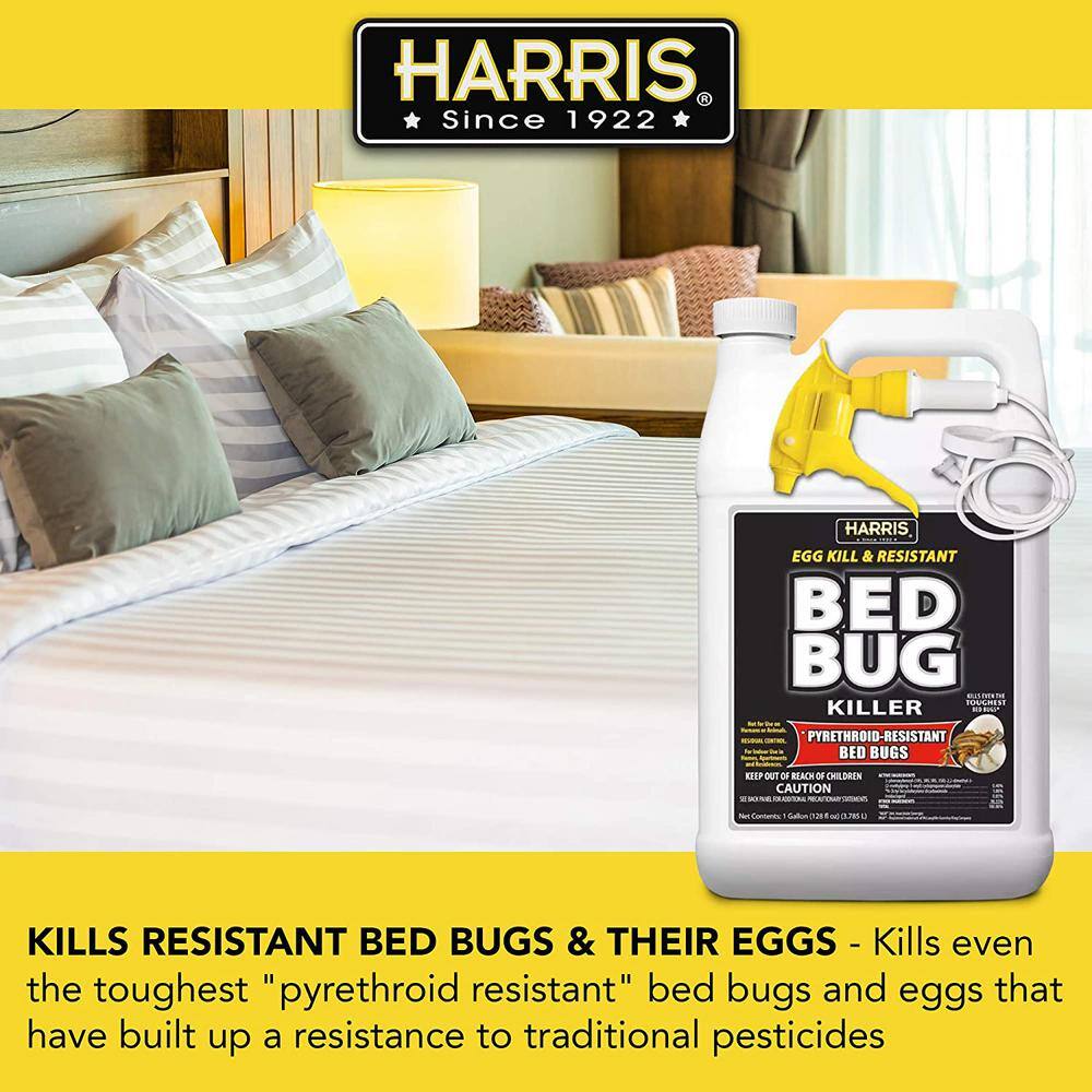 1 Gal. Ready-to-Use 1 Gal. Bed Bug Killer (2-Pack), 256 oz. Pro Spray Bottle and 55 oz. Mini Pump Sprayer - Hercitys