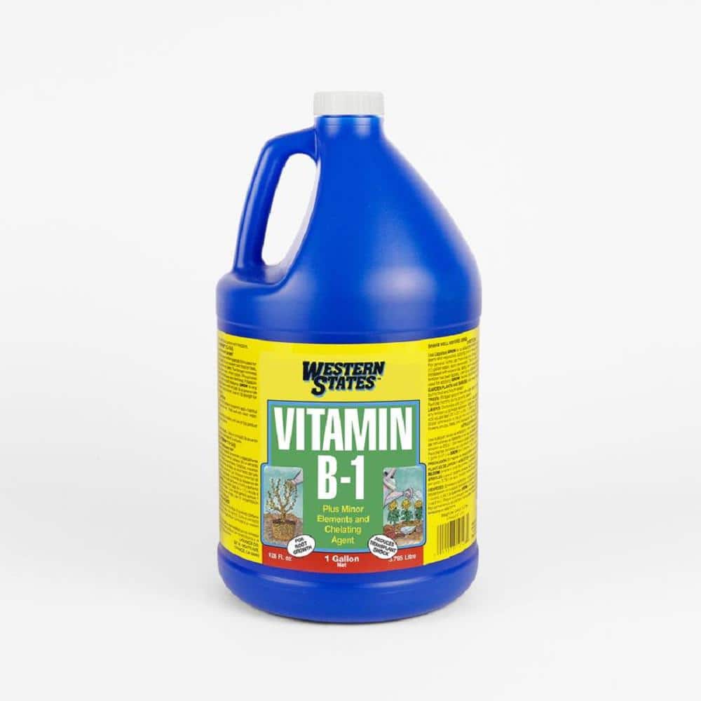 1 Gal. Vitamin B-1 Liquid Fertilizer - Hercitys