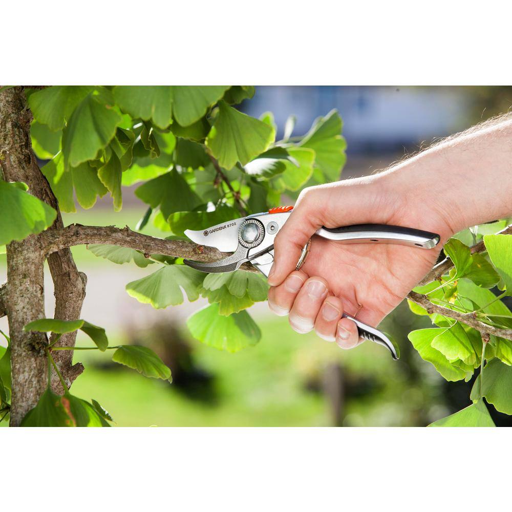 1 in. Secateurs B Plus /L Premium Pruning Shears - Hercitys