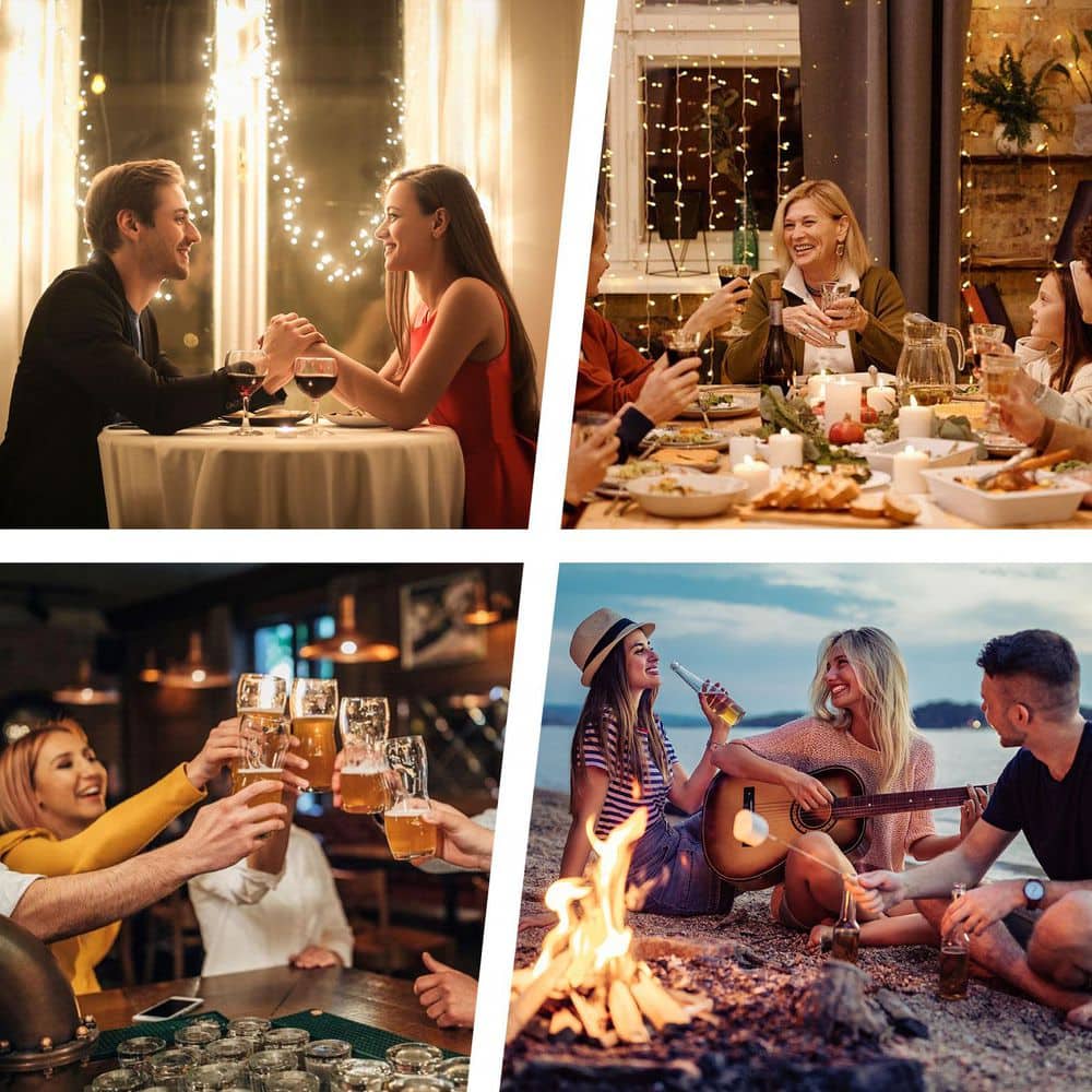 13.7 oz. Modern Plastic & Metal Electric Wine Aerator with One-Touch Decanting, Self-Cleaning, Battery & Power Bank - Hercitys