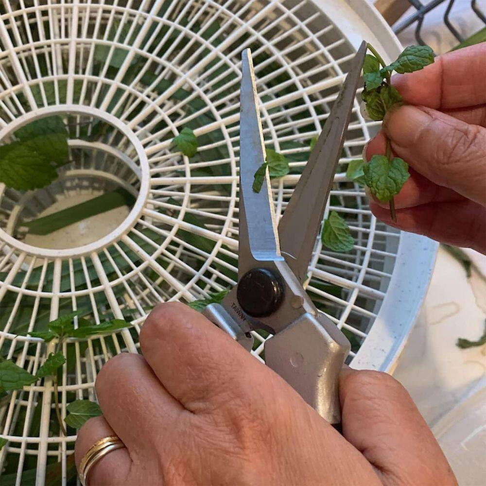 3.5 Inch Pruning Shears Garden Scissors - Hercitys