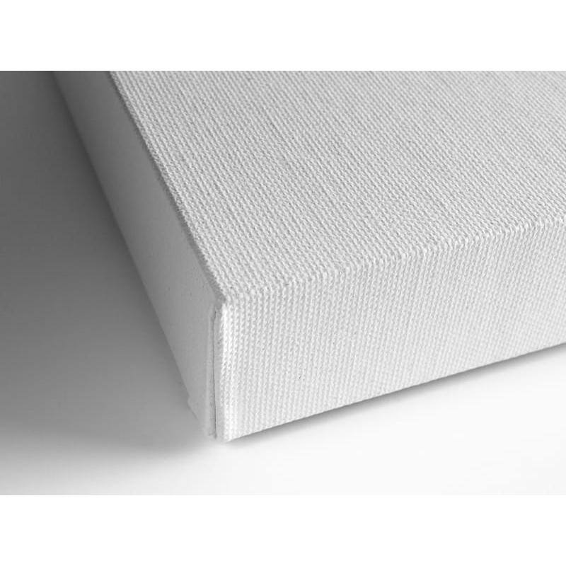 18 in. x 24 in. Poinsettia Study II by Tim O’Toole Canvas Wall Art - Hercitys