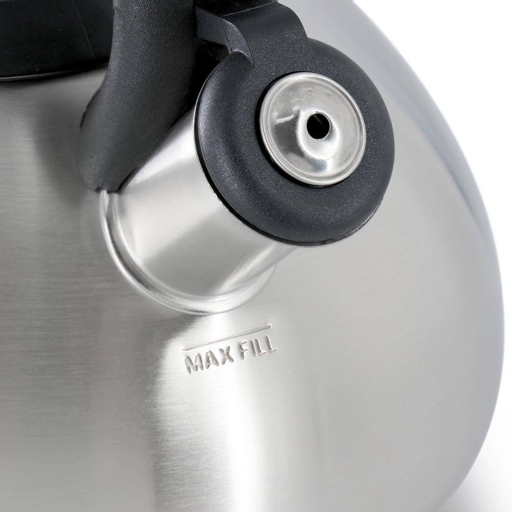 1.9 Liter 8 Cup Stainless Steel Whistling Kettle with Bakelite Handles - Hercitys