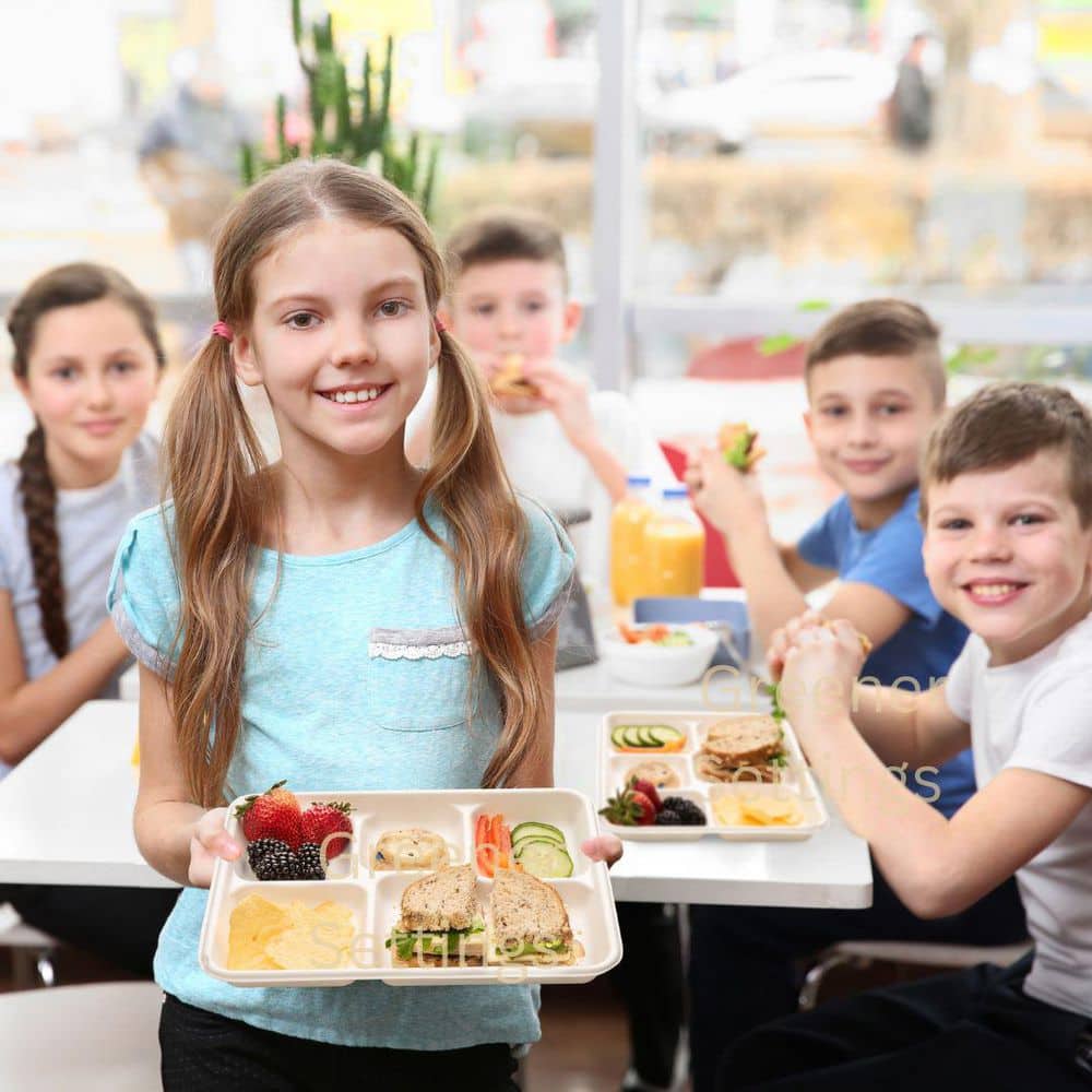 10.5 in. Unbleached Compostable Disposable Paper 5-Section Plate [125/Pack, 8-Packs/Carton] - Hercitys