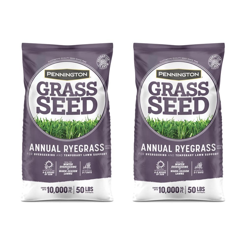 50 lbs. Annual Ryegrass Grass Seed (2-Pack) - Hercitys