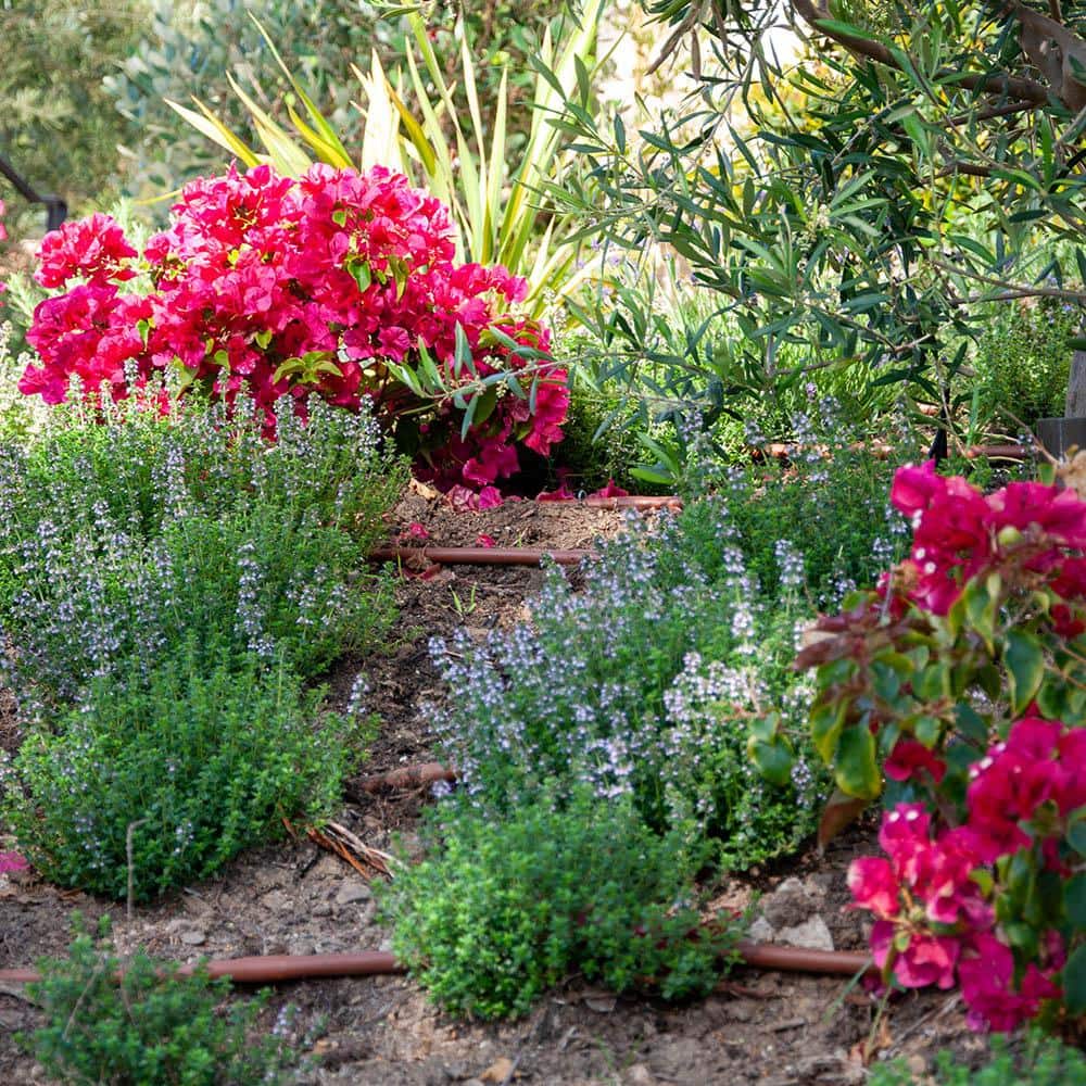 1/2 in. x 250 ft. 1-GPH Pressure Compensating Emitter Tubing with 18 in. Spacing - Hercitys