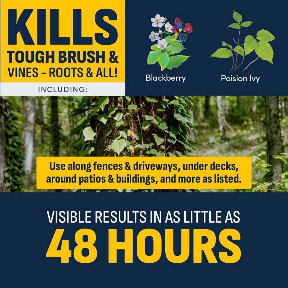 32 oz. Brush and Vine Killer Concentrate - Hercitys