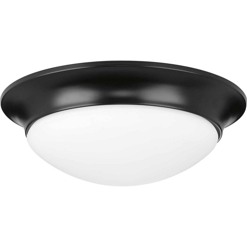 14 in. 2-Light Black Etched Glass Flush Mount - Hercitys