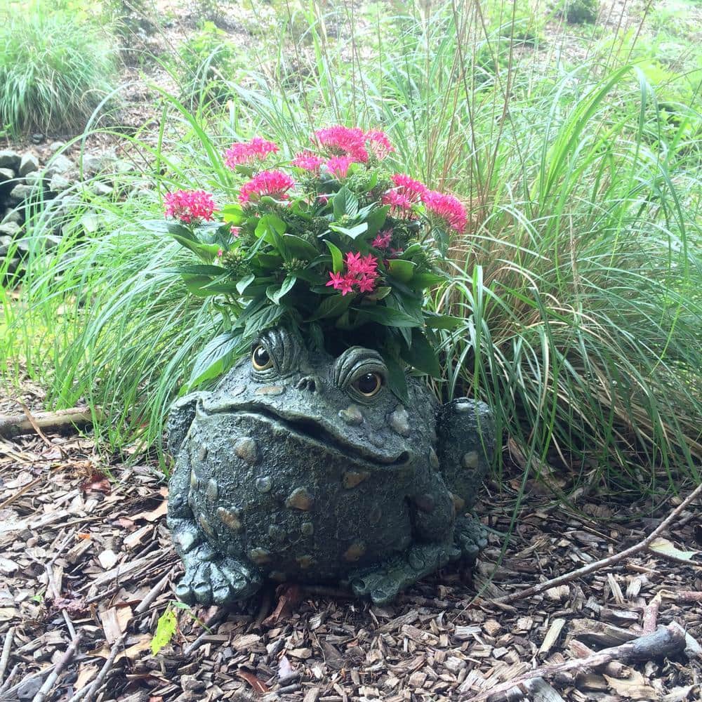 10 1/2 in. Toad Planter Garden Frog Statue (Holds 6 in. Pot) - Hercitys
