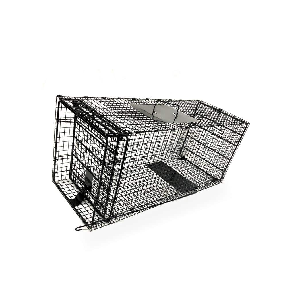 42 in. Collapsible Large Live Animal Cage Trap - Hercitys