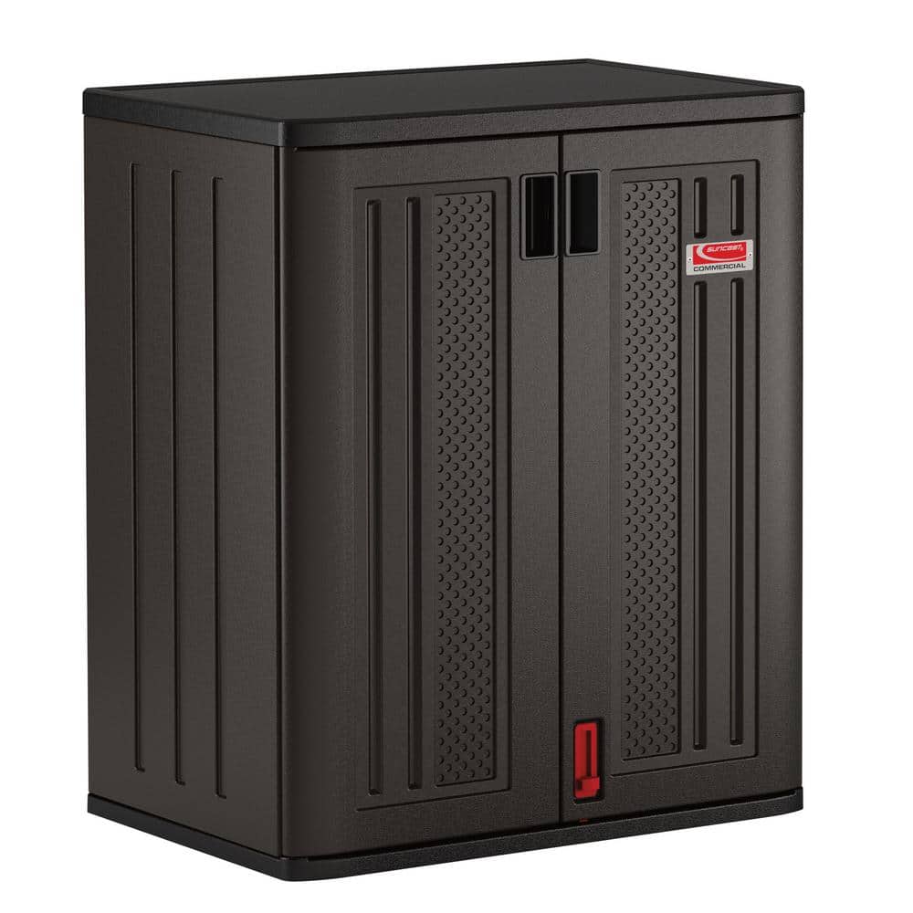 30 in. W x 36 in. H x 20.25 in. D Plastic Freestanding Garage Base Cabinet in Slate - Hercitys