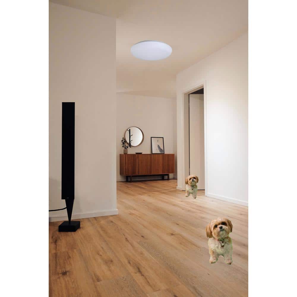 14 in. Warm White Mushroom Indoor LED Flush Mount - Hercitys