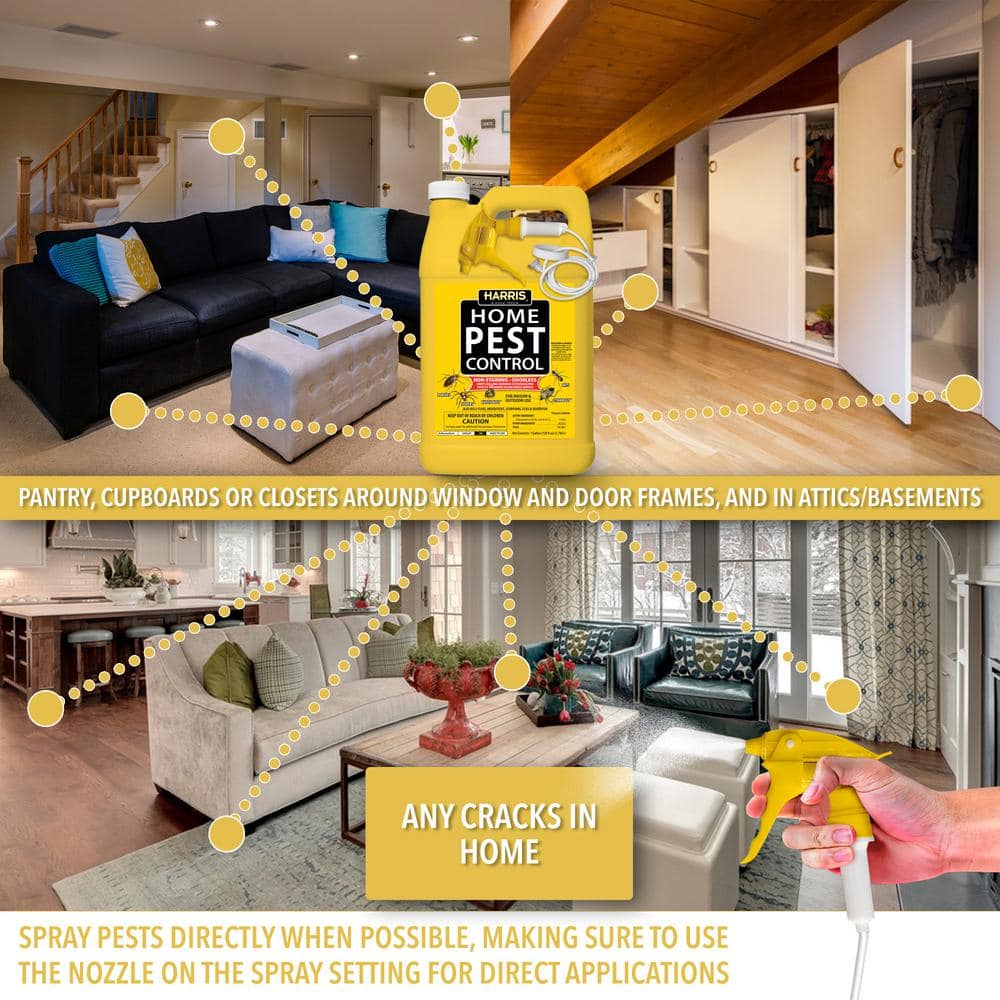 1 Gal. Home Pest Spray and Pest Glue Board (5-Pack) - Hercitys