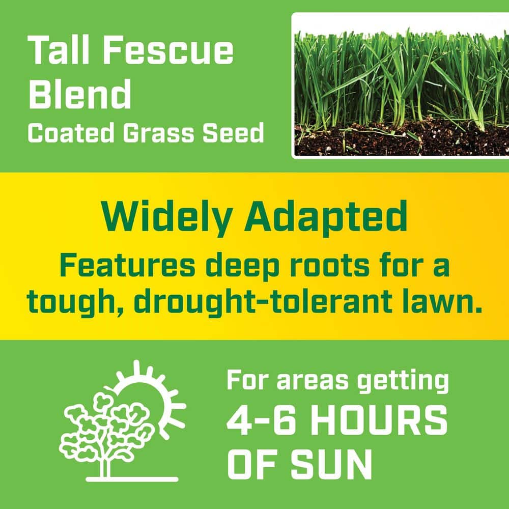 3 lbs. Tall Fescue Grass Seed Blend - Hercitys