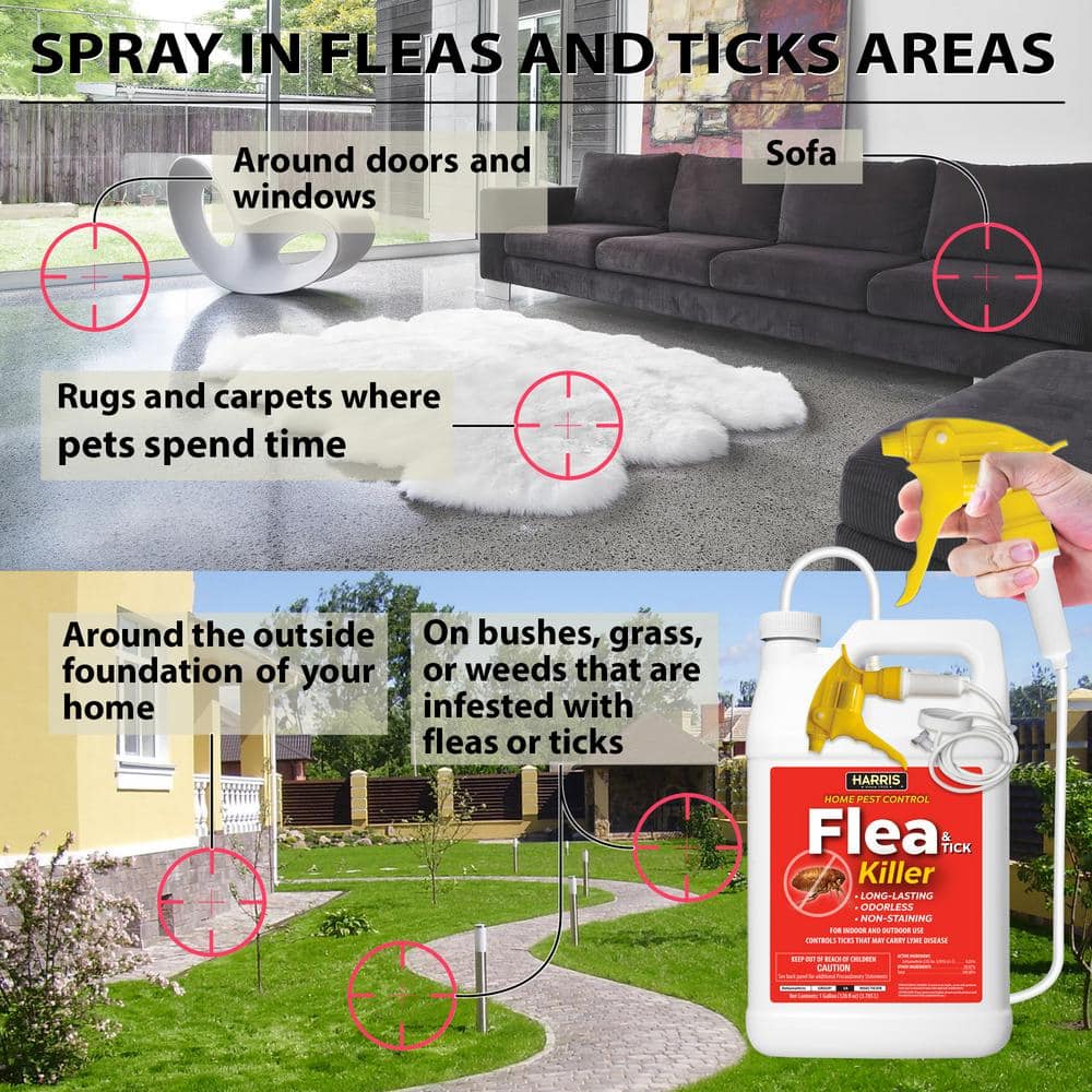 1 Gal. Flea and Tick Killer (3-Pack) - Hercitys