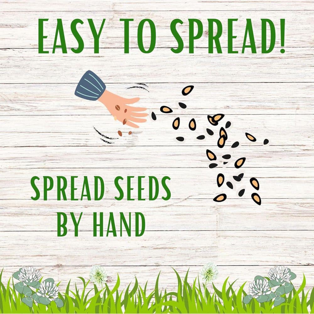 2 lb. White Dutch Clover Flower Lawn Seed, Organic Coated, Low Mnt, Pollinator Friendly, Covers Up to 7,200 Sq. ft. - Hercitys