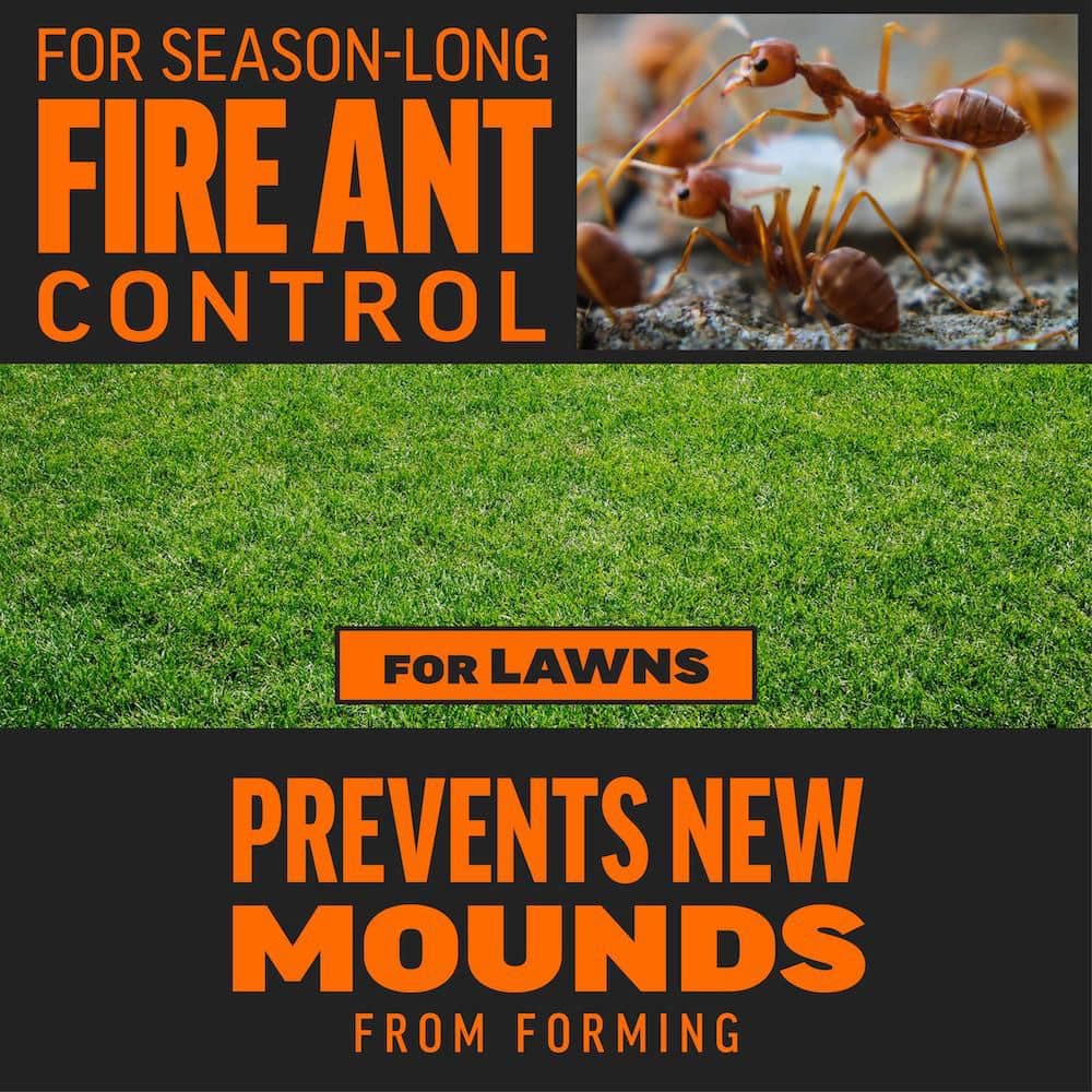 5 lb. 10,000 sq. ft. Outdoor Fire Ant Killer Yard Treatment Granule Bait with 3-Month Control (2-Pack) - Hercitys