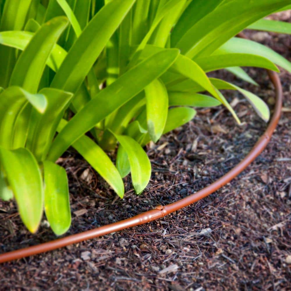 1/4 in. x 100 ft. Dripline with 6 in. Emitter Spacing - Hercitys