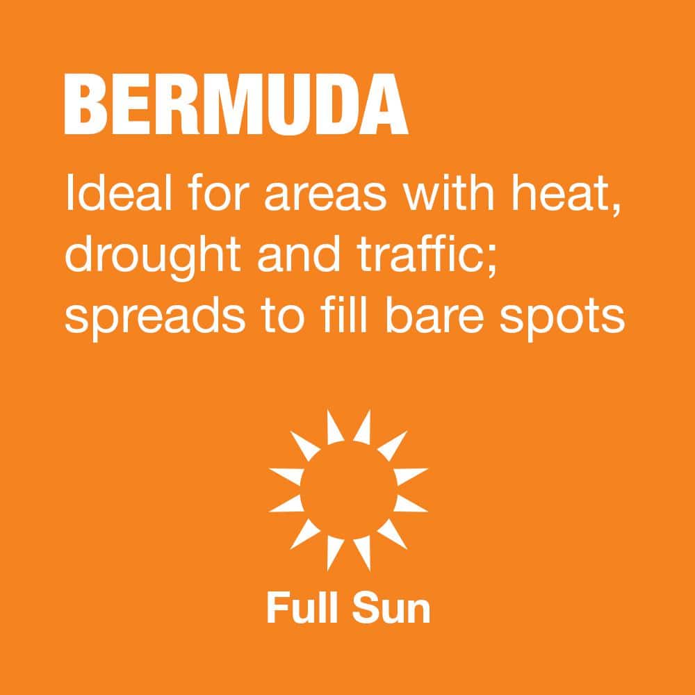 10 lbs. Bermuda Grass Seed Blend with Water Saver Seed Coating - Hercitys