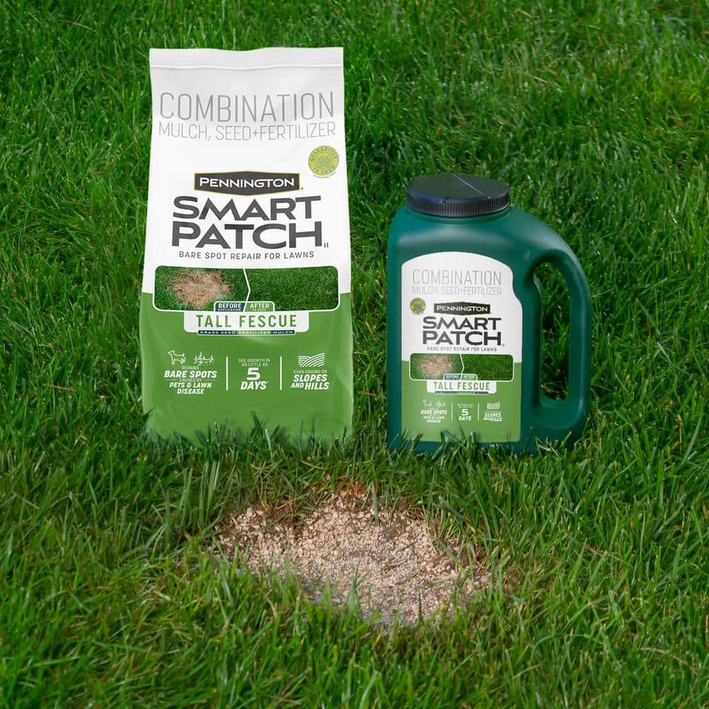 10 lbs. Smart Patch Tall Fescue West Grass Seed with Mulch, Fertilizer - Hercitys