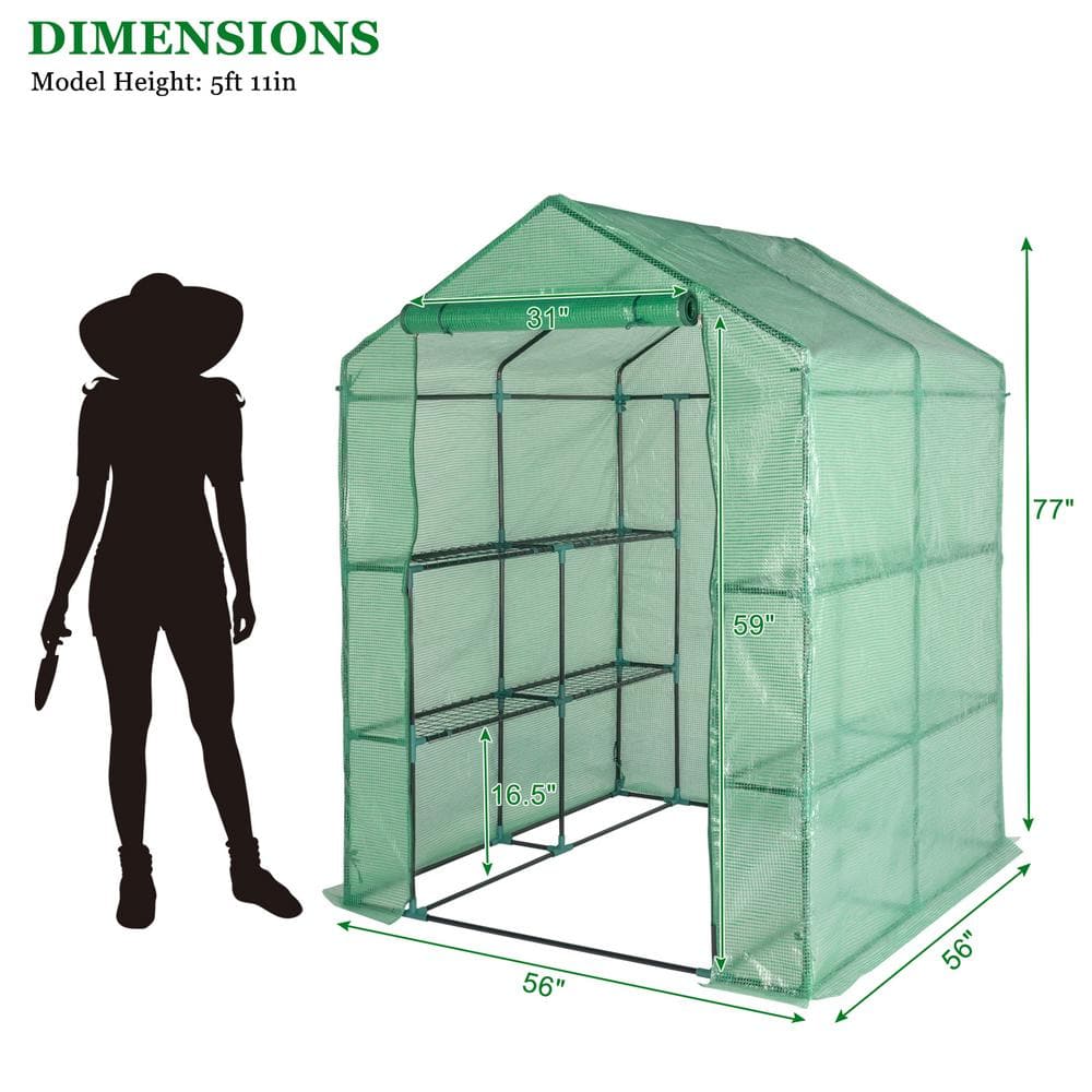 56 in. W x 56 in. D x 77 in. H Greenhouse - Hercitys