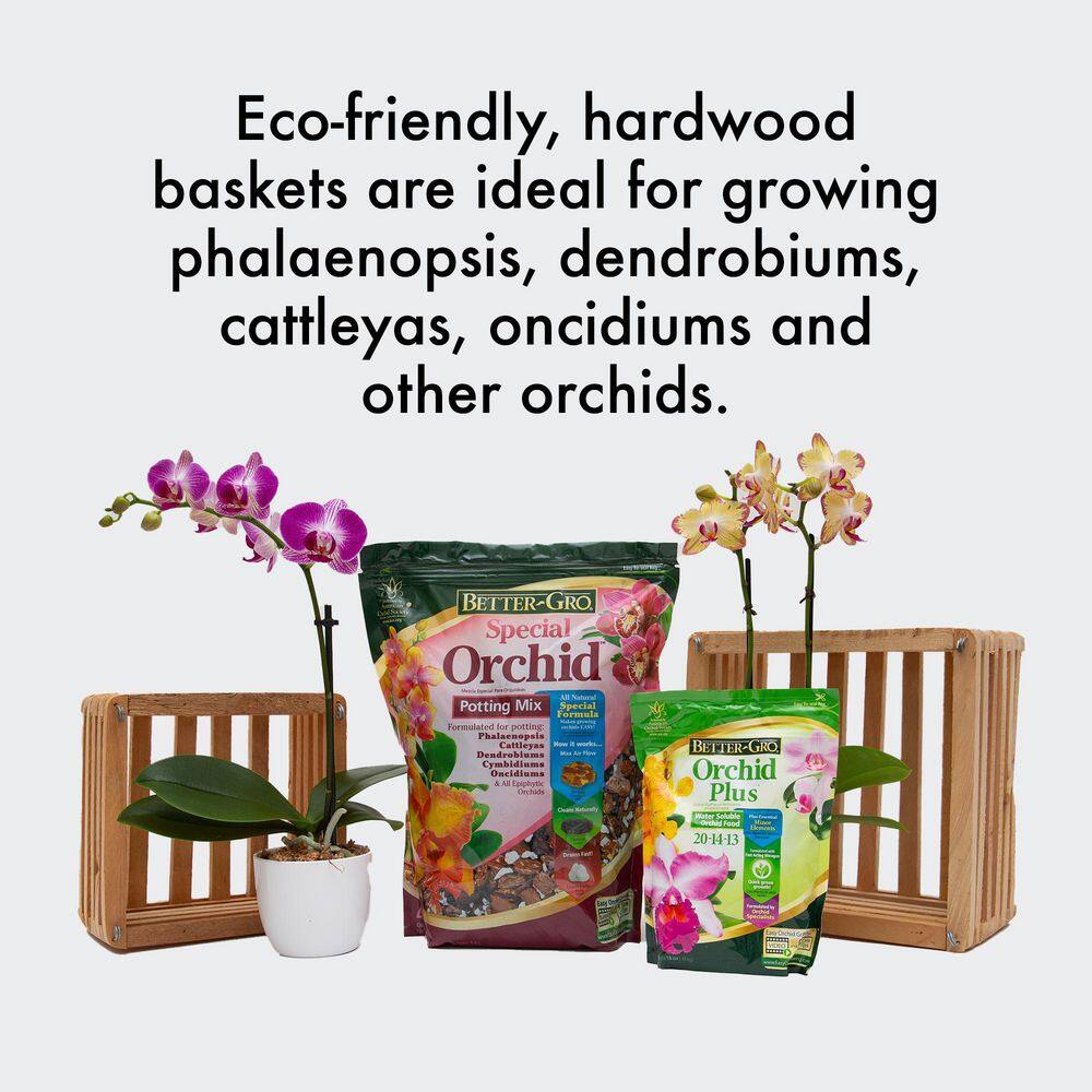 10 in. Square Wood Hanging Basket Twin Pack - Hercitys