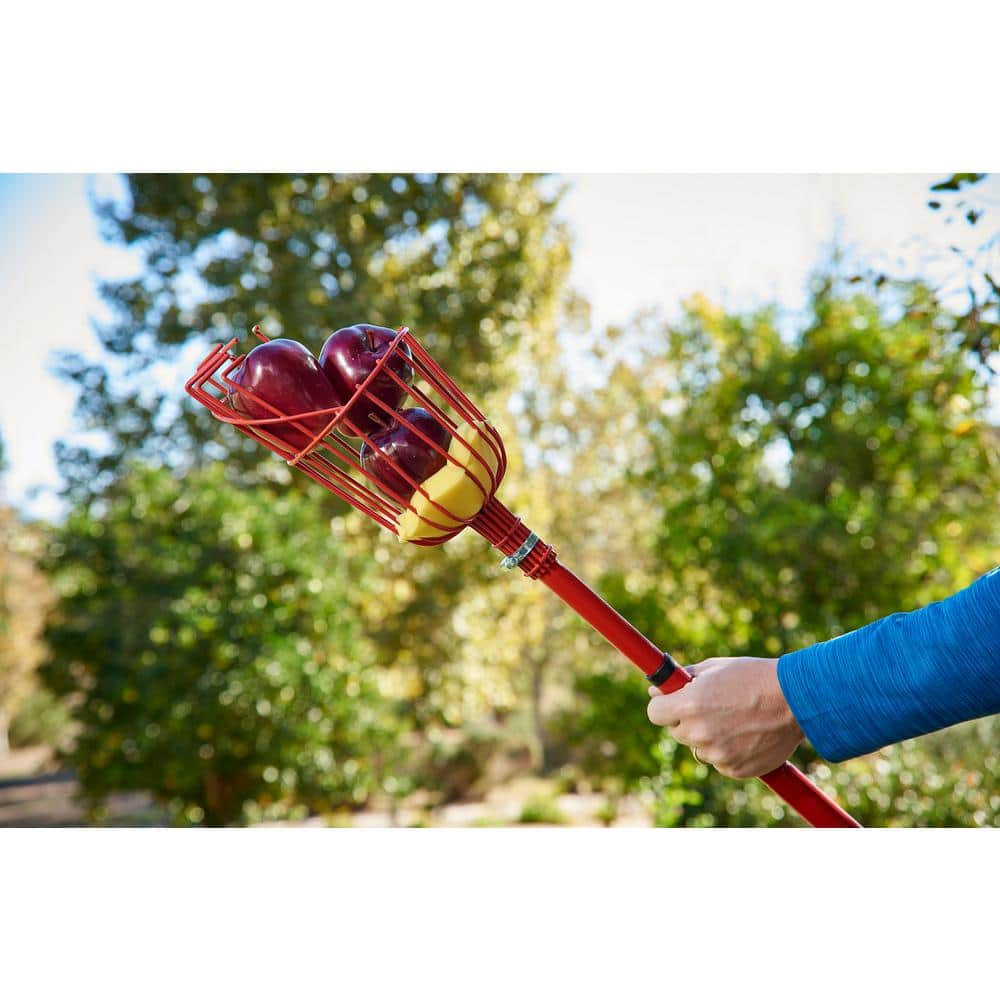 12 ft. L Reach Extendable Aluminum Handle Fruit Picker - Hercitys