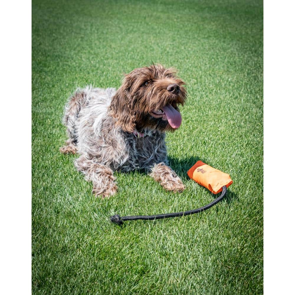 25 lbs. Sun and Shade Grass Seed - Hercitys