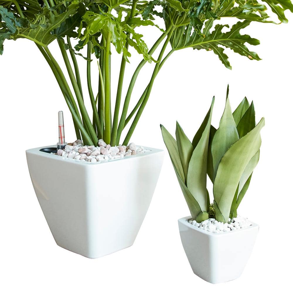 Shop By Department/Outdoor Living & Patio/Pots & Planters/Planters - Hercitys