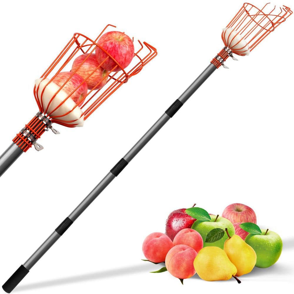156 in. Stainless Steel Handle Fruit Picker - Hercitys