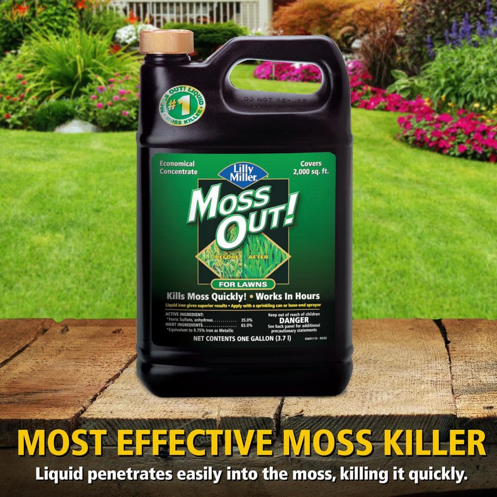 1 gal. 2,000 sq. ft. Lawn Moss Killer Concentrate - Hercitys