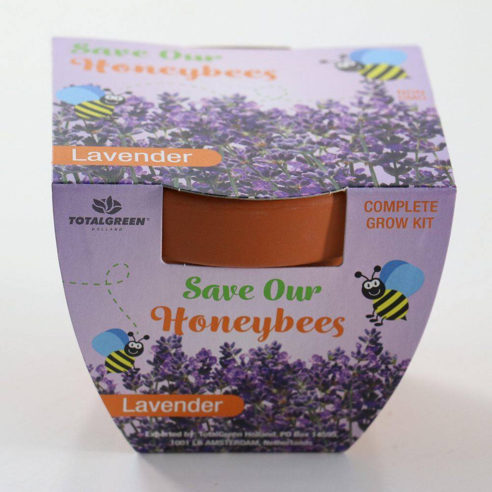 3.5 in. Lavender Pollinator Seed Grow Kit - Hercitys