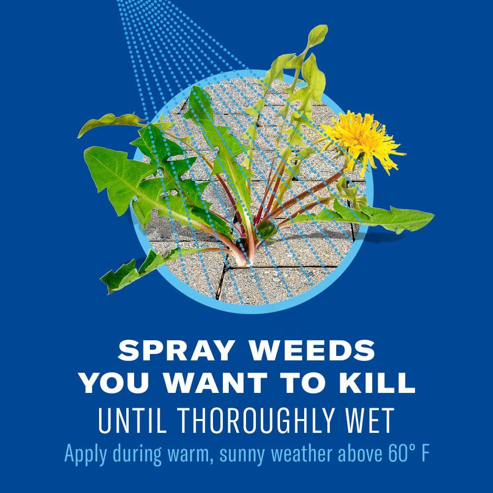 1.3 Gal. Ready to Use Weed and Grass Killer - Hercitys