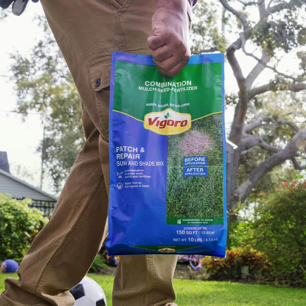 10 lb. Patch and Repair Sun and Shade Grass Seed Mix - Hercitys