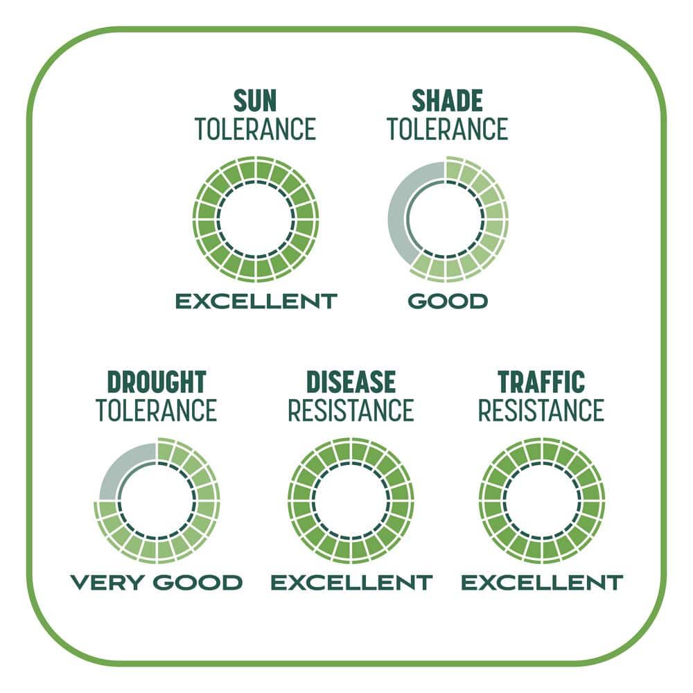 10 lbs. Smart Patch Tall Fescue West Grass Seed with Mulch, Fertilizer - Hercitys