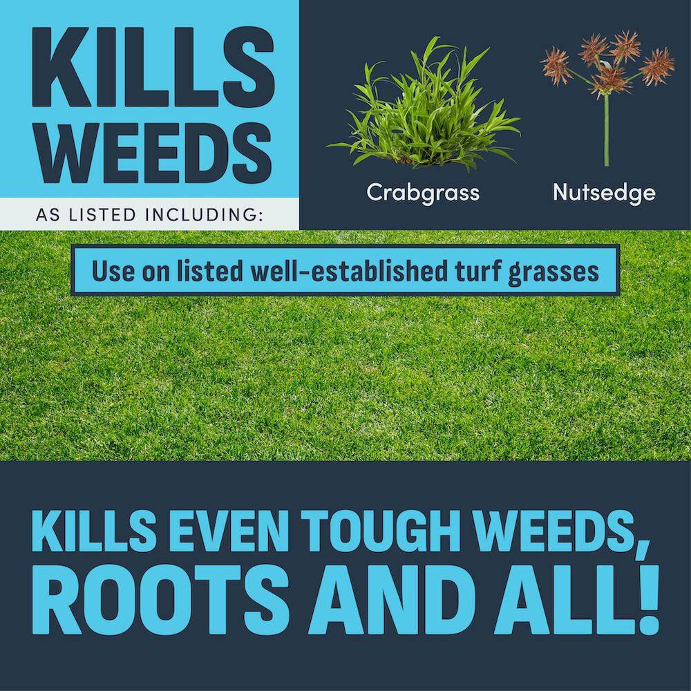 24 oz. 6,000 sq. ft. Crabgrass, Nutsedge and Weed Killer Ready to Spray - Hercitys