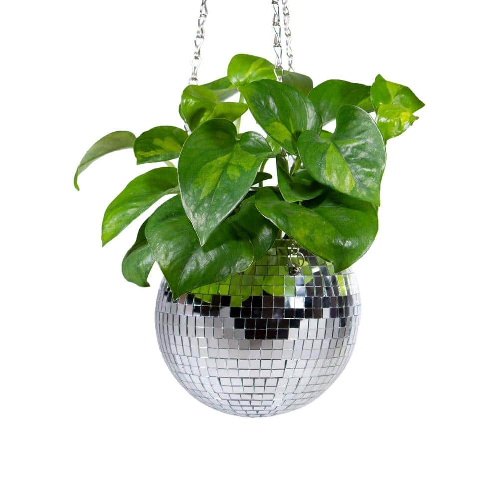 4 in. Dia Silver Plastic and Glass Hanging Basket with Chain and Macrame Rope (1-Pack) - Hercitys