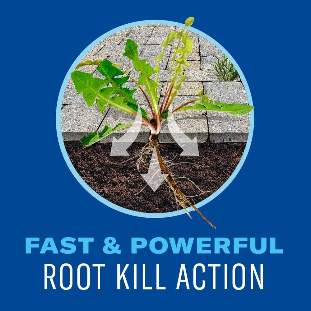 1.3 Gal. Ready to Use Weed and Grass Killer - Hercitys