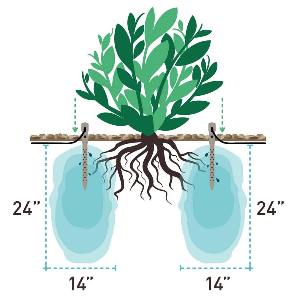 14 in. Watering Stake (3-Pack) - Hercitys