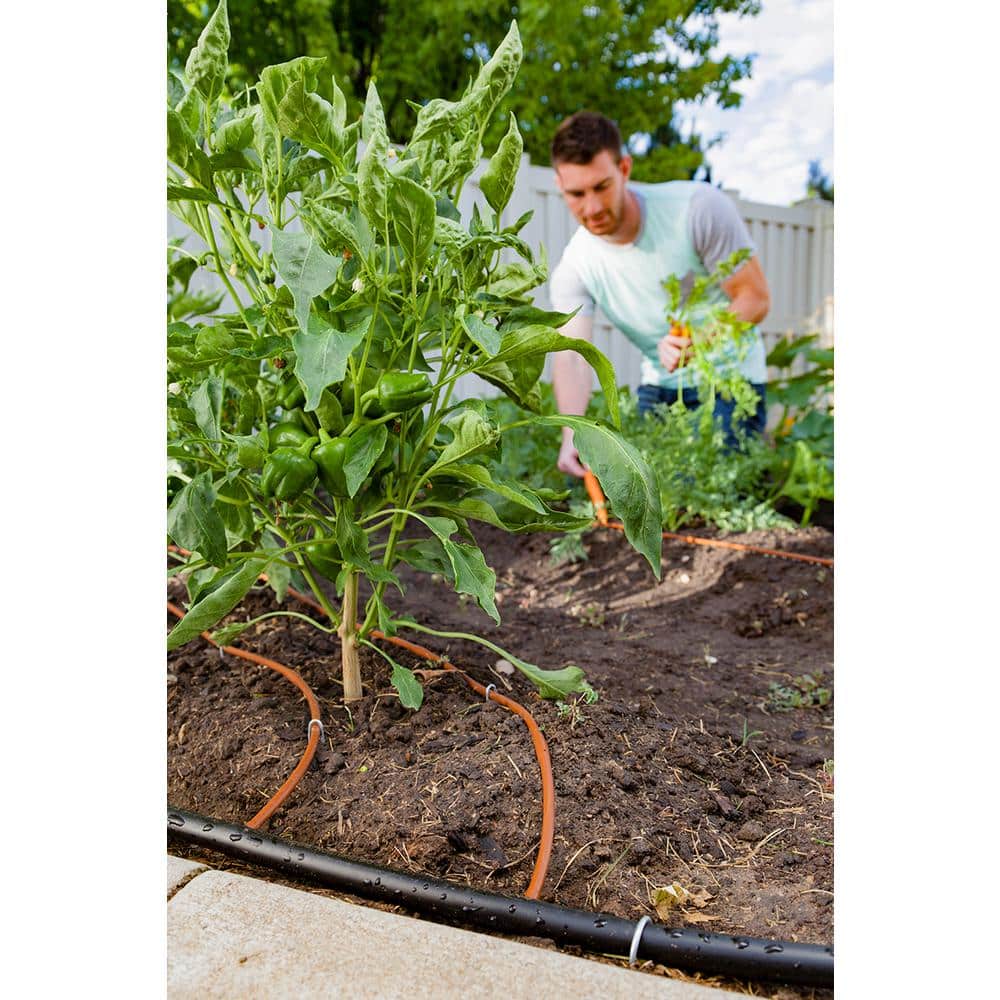 1/2 in. x 100 ft. Distribution Tubing - Hercitys