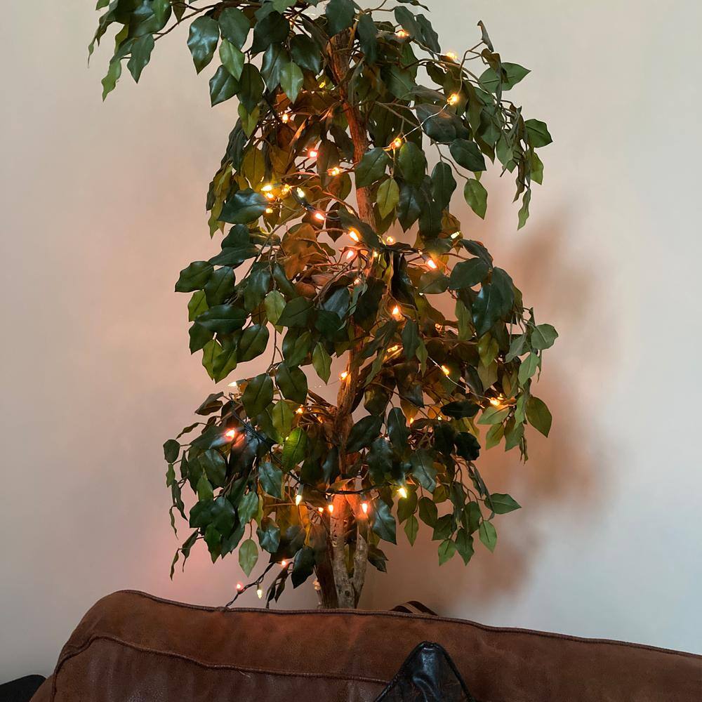 20 ft. 100-Light Pastel Multi-Color Mini Easter Incandescent Light Set with Green Wire - Hercitys